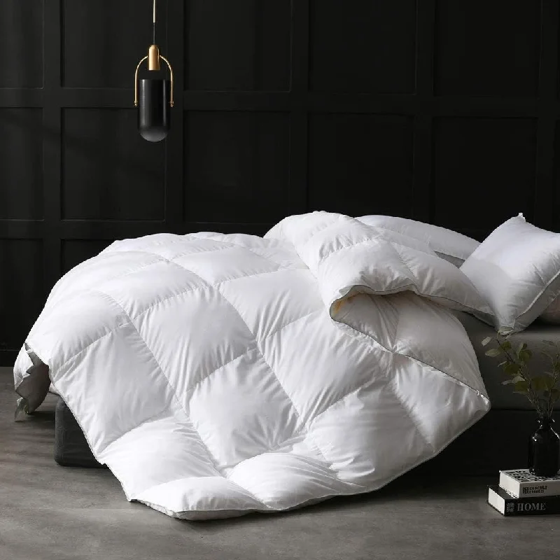 Down Comforter Duvet Insert for Winter Weather