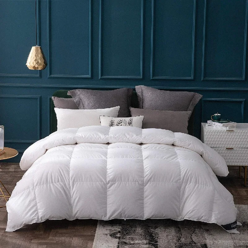 Goose Down Comforter Queen Size All Season,400 Thread Count Ultra Soft Cotton Shell,38OZ,800 Fill Power Duvet Insert with Tabs