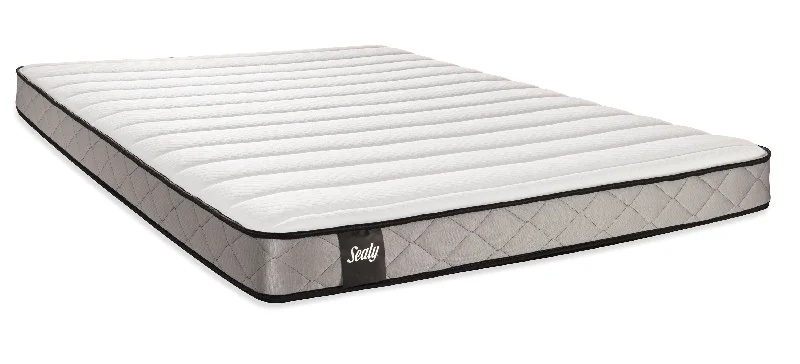 Sealy Fog Firm Twin Mattress